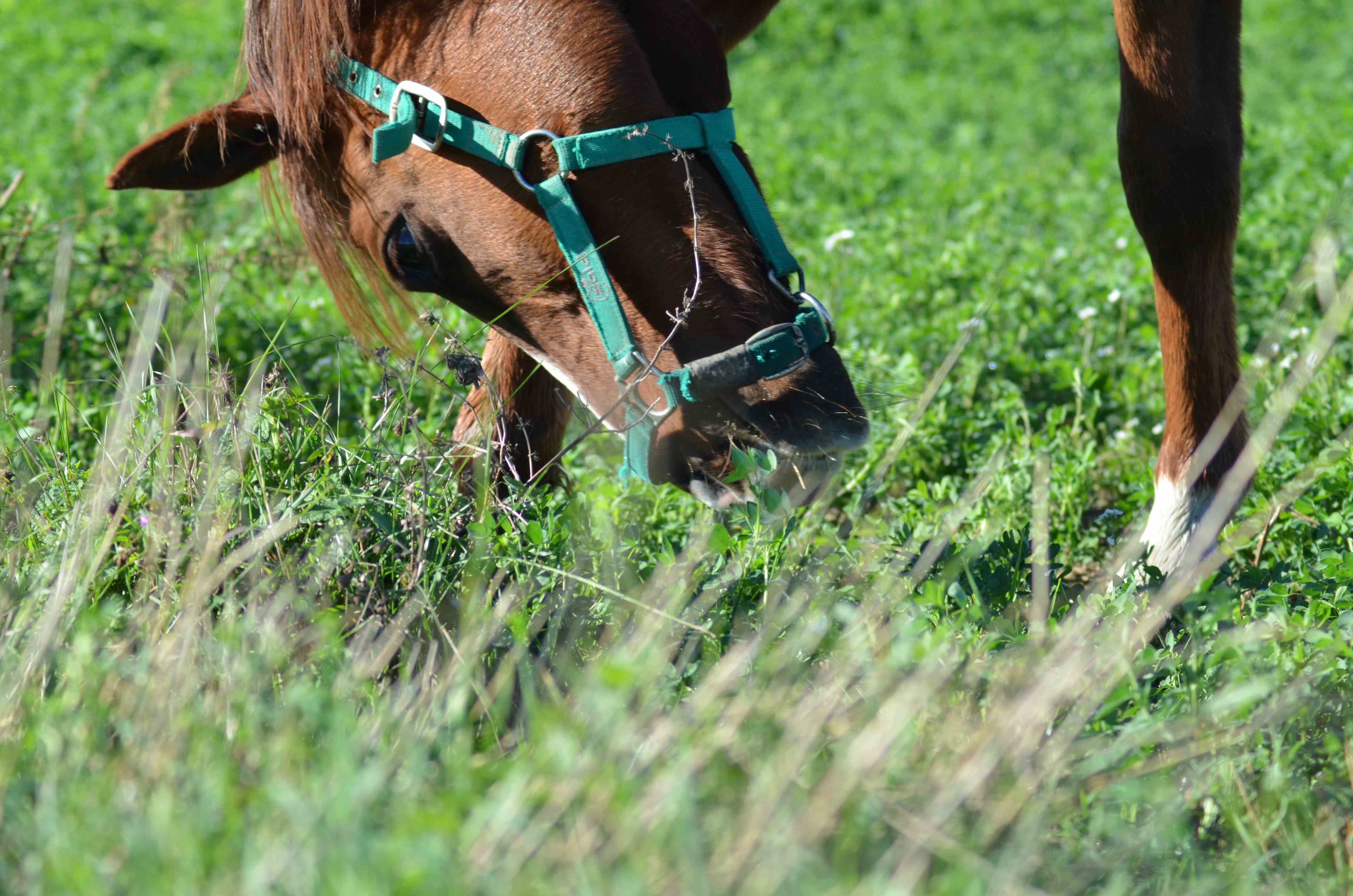 No s'ha trobat l'arxiu